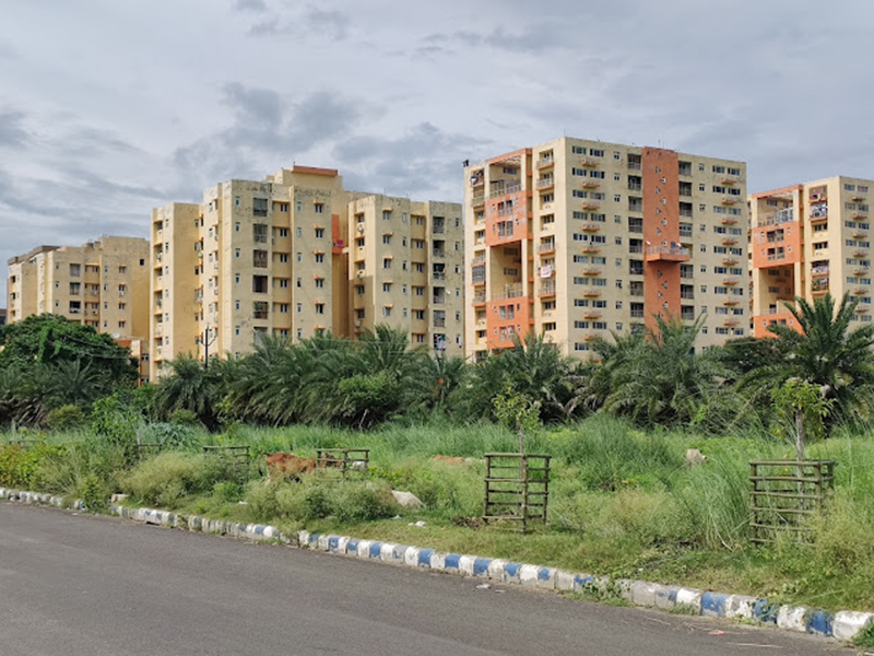 Shrachi Greenwood Elements